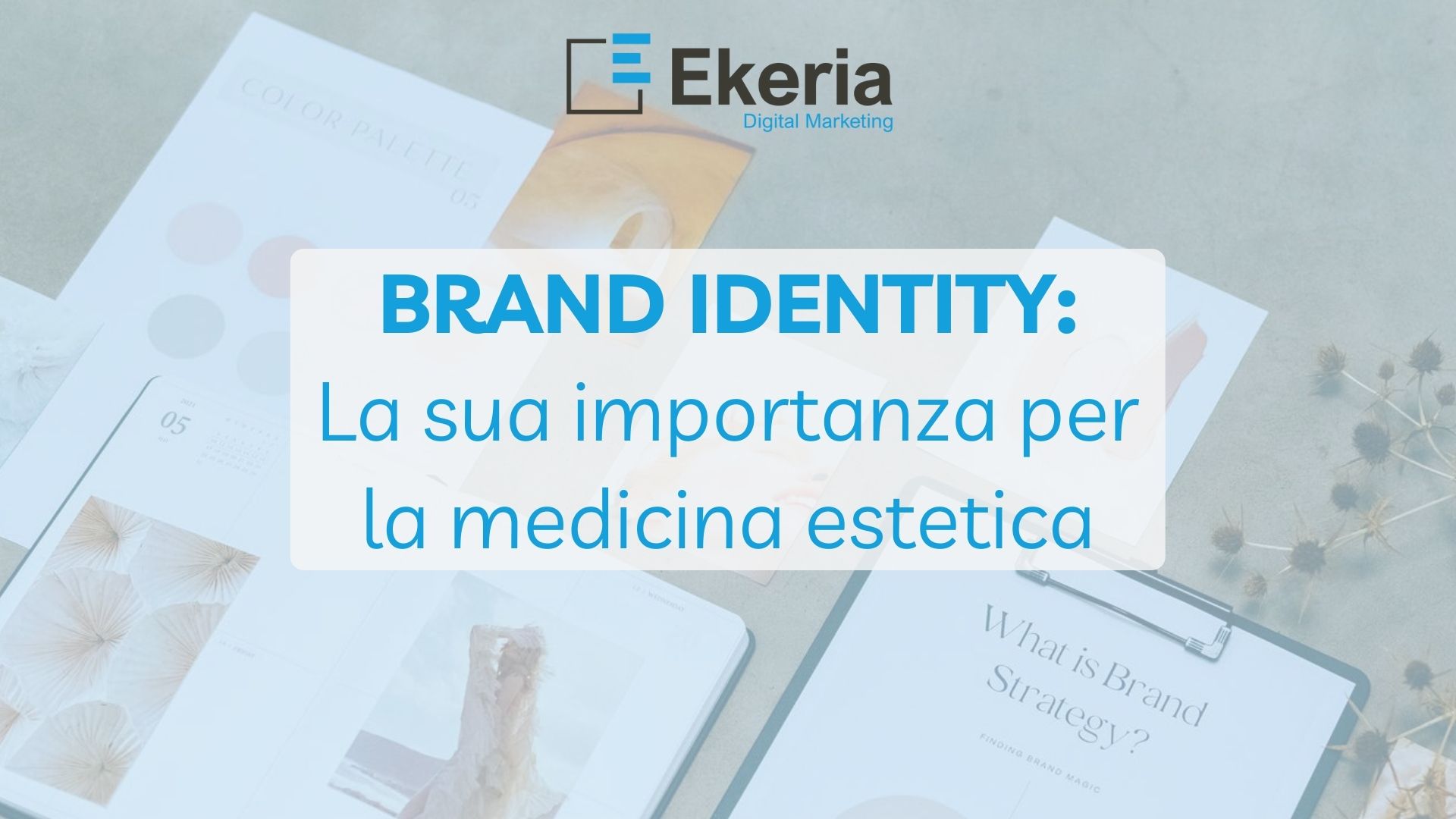 brand-identity.jpg