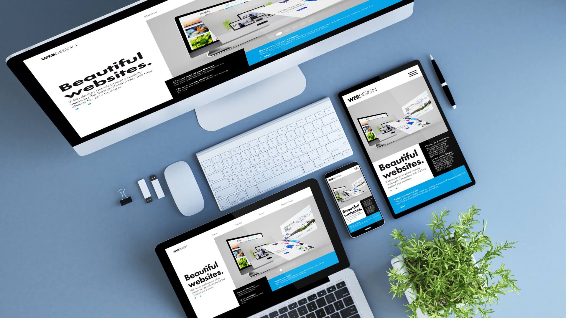 Professional website: investment or expense?
